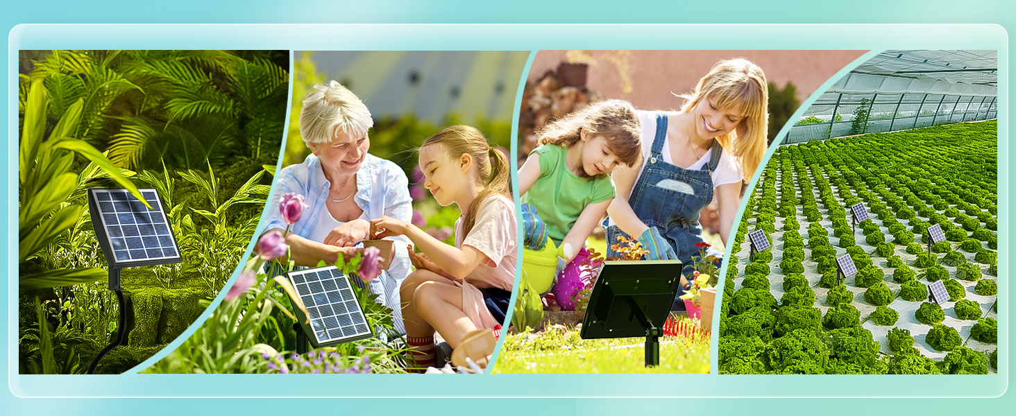 Solar Drip Irrigation System