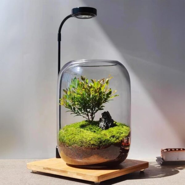 SARUFO Glass Plant Terrarium Kit, 6.3"X8.6" Micro-Landscape Vase with Light, Snowman and Pine Trees, ​for Home Office Tabletop Decoration, Wardian, Unique